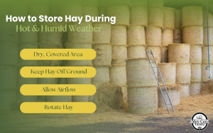 How to Store Hay During Hot and Humid Weather Infographic