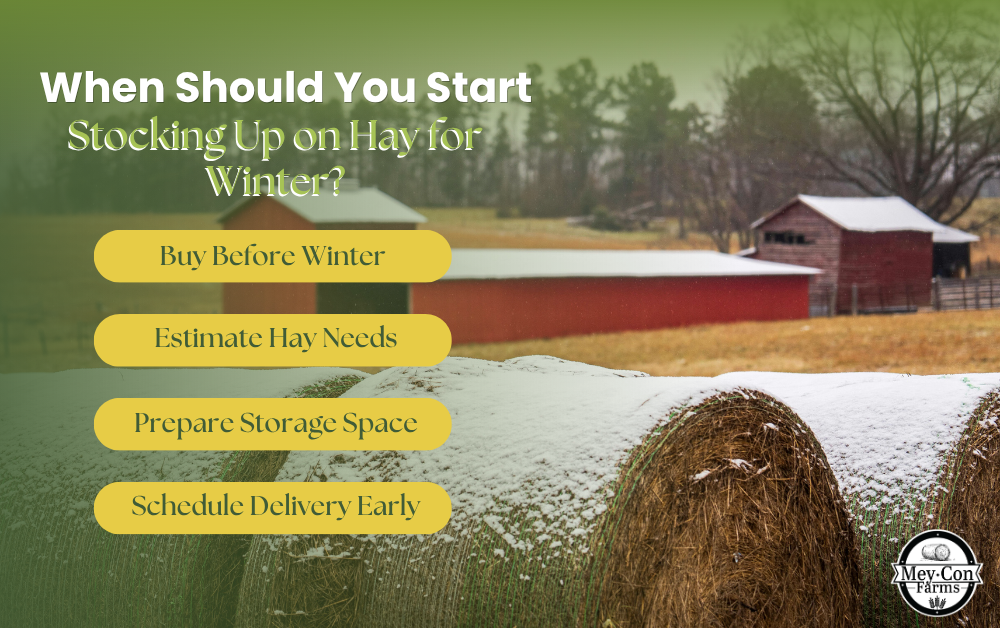 When Should You Start Stocking Up on Hay for Winter? Infographic