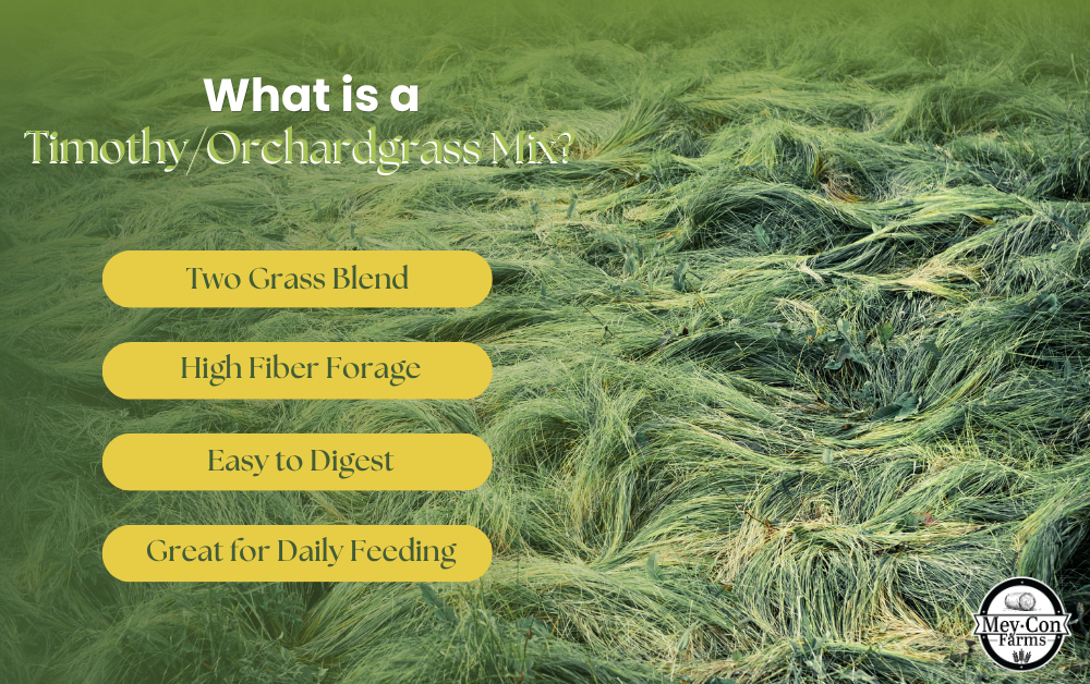 What Is a Timothy/Orchardgrass Mix? Infographic